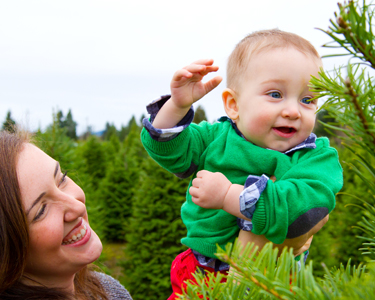 Kids Okaloosa County, Walton County and Bay County: Christmas Tree Farms - Fun 4 Emerald Coast Kids