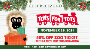 1706041757-GBZ_2024_ToysForTots_Website.png