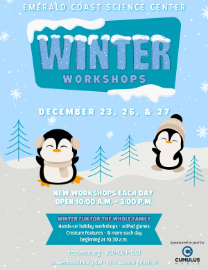 Winter Workshops 2024 flyer.png