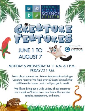 CF main summer times flyer.jpg