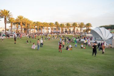 12351.jpg