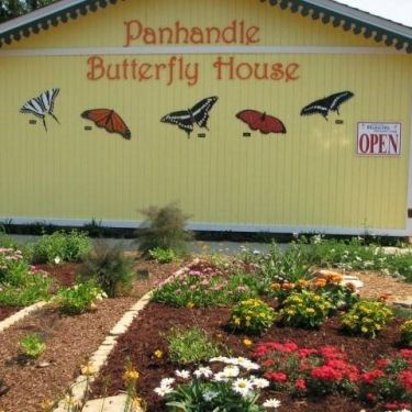 Panhandle Butterfly House Fun 4 Emerald Coast Kids