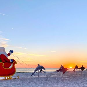 The Back Porch Destin Santa and Dolphins Display