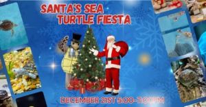 Navarre Beach Sea Turtle Conservation Center Santa's Sea Turtle Fiesta