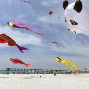 Kitty Hawk Kites Fly Into Spring Kite Festival