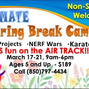 Resolute Martial Arts Spring Break Camp