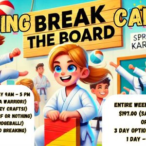 CD Williamson Karate Niceville Spring Break "Break the Board" Camp