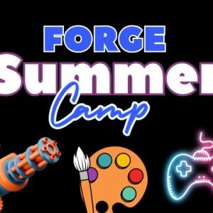 Forge Martial Arts SRB Summer Camp