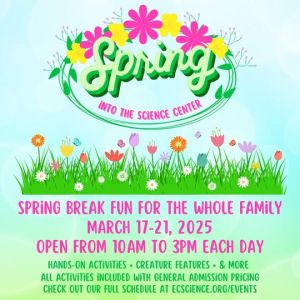 Spring Break Workshops: Emerald Coast Science Center