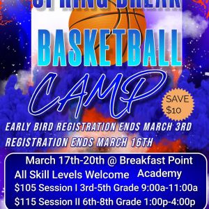 Southern Elite Sports Youth Spring Break Basketball Camp