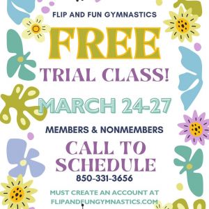 Flip and Fun Gymnastics Crestview Free Trial Class