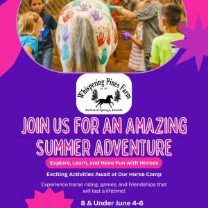 Whispering Pines Farm DeFuniak Springs Summer Horse Camps