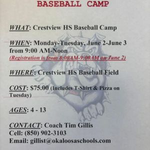 Crestview High School Baseball Camp