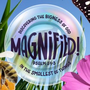 First Baptist Church DeFuniak Springs VBS