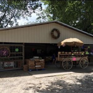 Brooks Farm Produce and Strawberry Patch