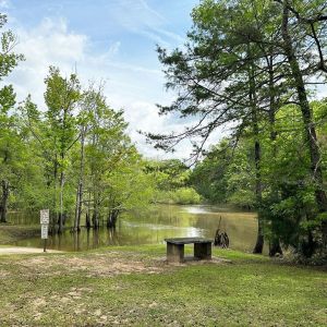 Berrian Lake Landing II