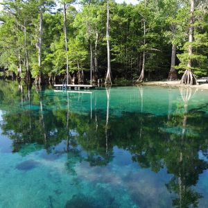 Morrison Springs