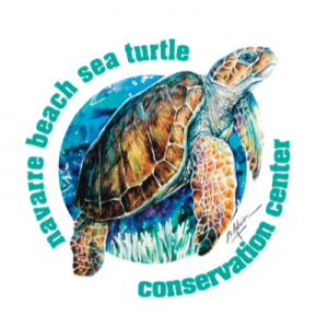Navarre Beach Sea Turtle Conservation Center
