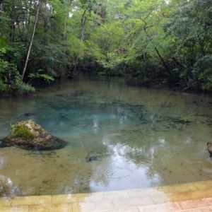 Williford Spring