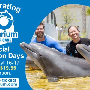 Gulfarium Marine Adventure Park 70th Anniversary Special Admission Days