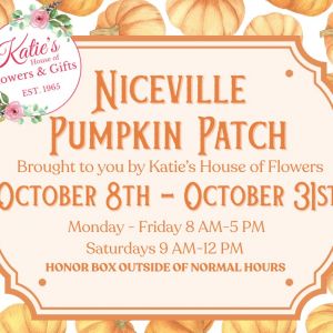 Katie's House of Flowers Niceville Pumpkin Patch