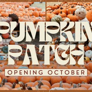 Valparaiso First Church Pumpkin Patch
