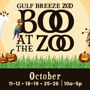 Gulf Breeze Zoo Boo at the Zoo