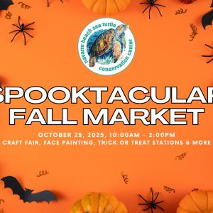 Navarre Beach Sea Turtle Conservation Center Spooktacular Fall Market