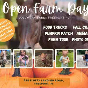 Jolly Bay Farm Freeport Open Farm Days