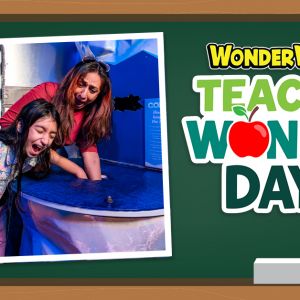 Wonderworks Panama City Beach Teacher Wonder Days