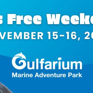 Gulfarium Marine Adventure Park Kids Free Weekend
