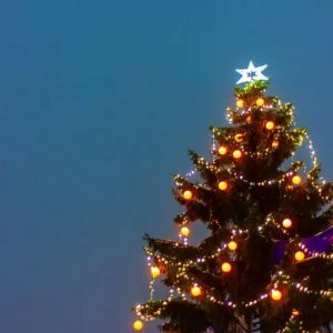City of Destin's Annual Christmas Tree Lighting