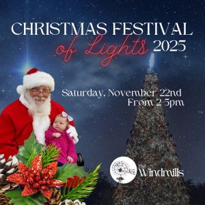 The Windmills at Hammock Bay Christmas Festival of Lights