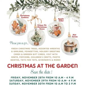 The Garden at Peach Creek Christmas at the Garden