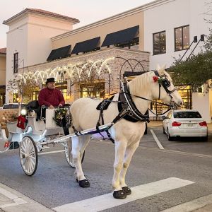 Grand Boulevard Horse-Drawn Carriage Rides
