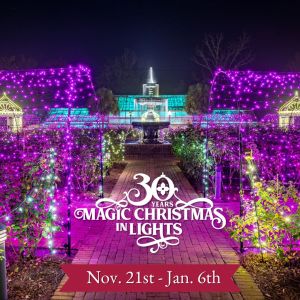 Bellingrath Gardens Magic Christmas in Lights