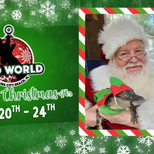 ZooWorld Panama City Beach Cajun Christmas