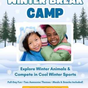 Childcare Network Winter Break Camps