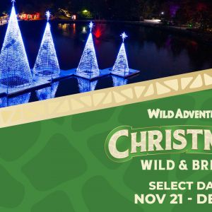 Wild Adventures Christmas Wild and Bright
