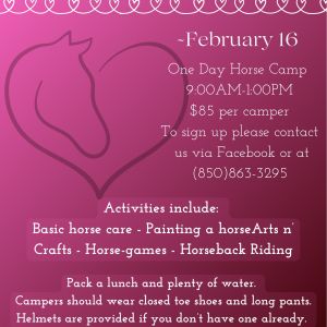 The Equestrian Center FWB President's Day Horse Camp