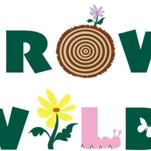 Girl Scout Summer Camps