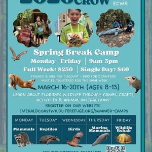 Emerald Coast Wildlife Refuge Camp Crow