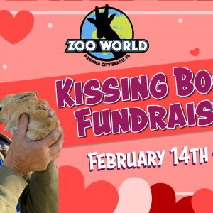 ZooWorld Panama City Beach Valentines Day Kissing Booth
