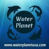 Water Planet Educational Sunset Dolphin Cruise
