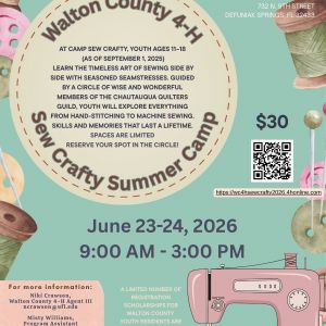 Walton County 4-H Sew Crafty Summer Camp