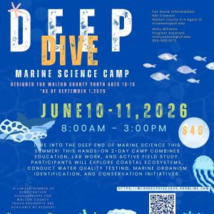 Walton County 4-H Deep Dive Marine Science Camp