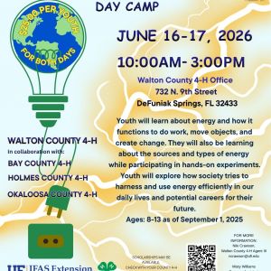 Walton County 4-H & CHELCO Energy Explorers Summer Day Camp