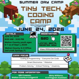 Walton County 4-H Tiny Tech Coding Camp