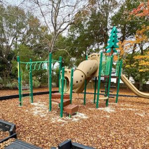 Mimosa Park