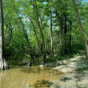 Bruce Creek Landing